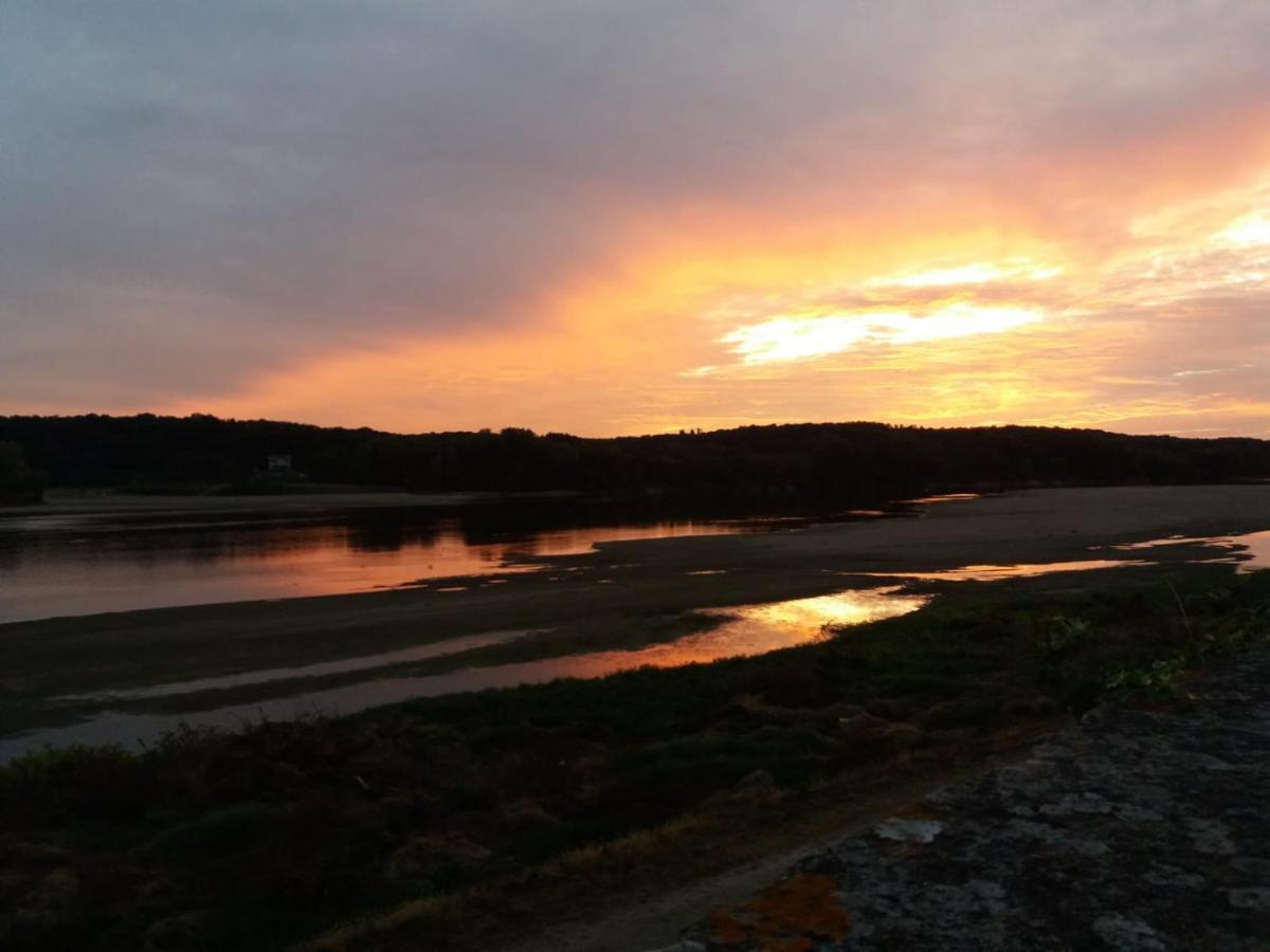 Le Cosy Loire Appart Les Rosiers المظهر الخارجي الصورة