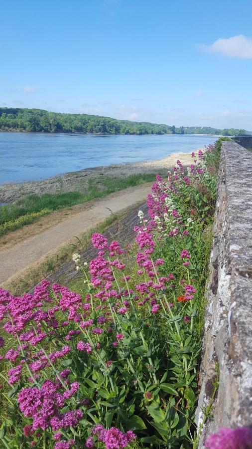 شقة Les Rosiers  في Le Cosy Loire Appart المظهر الخارجي الصورة