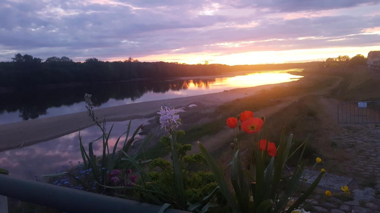 شقة Les Rosiers  في Le Cosy Loire Appart المظهر الخارجي الصورة